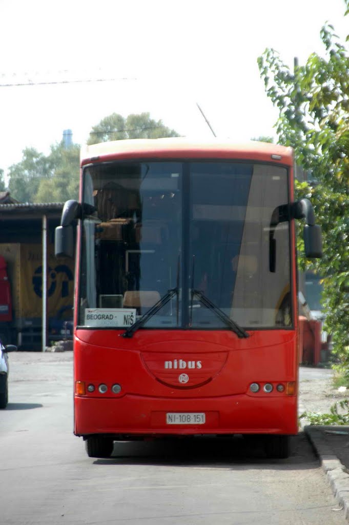 Autobus Niš Ekspresa u Beogradu by Teča sa Dunava