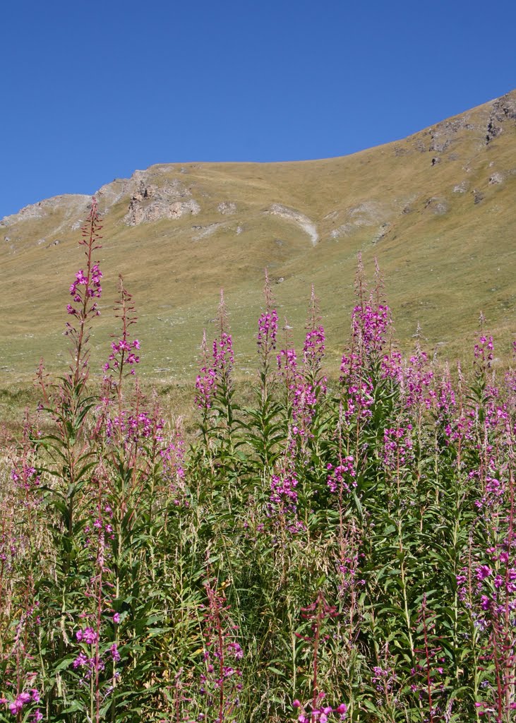 Grimentz - Moiry - en route vers le col de Sorebois by Charly-G. Arbellay