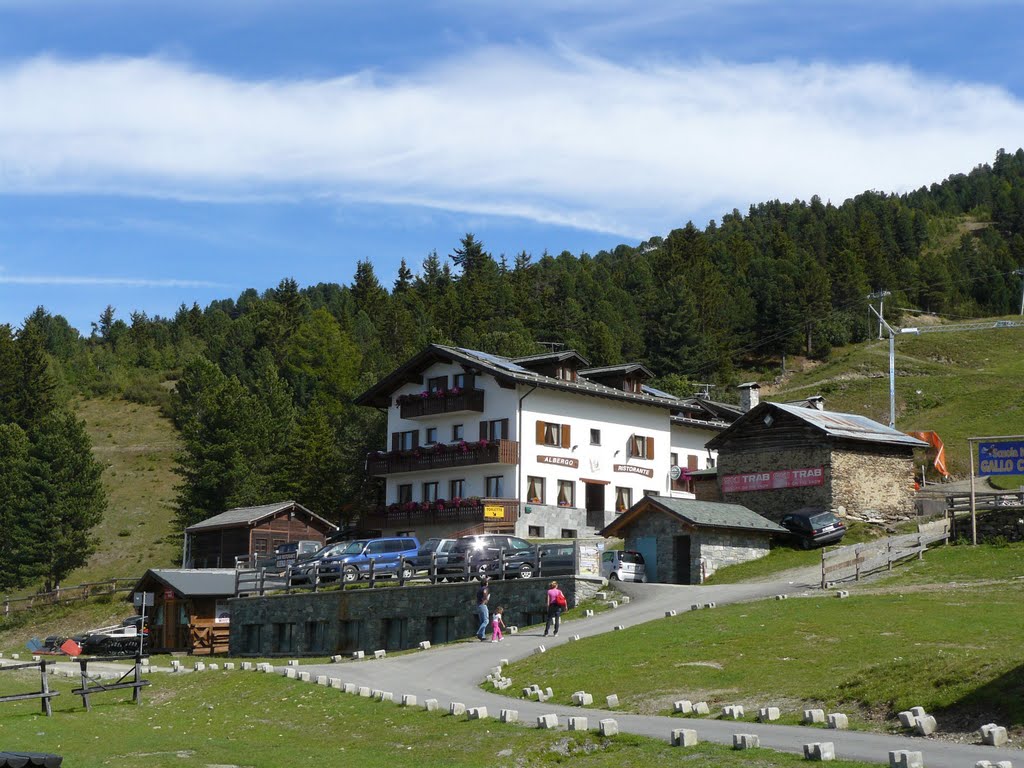 Ristorante Gallo Cedrone by Stefano Sun Colturi 81 - Valdisotto