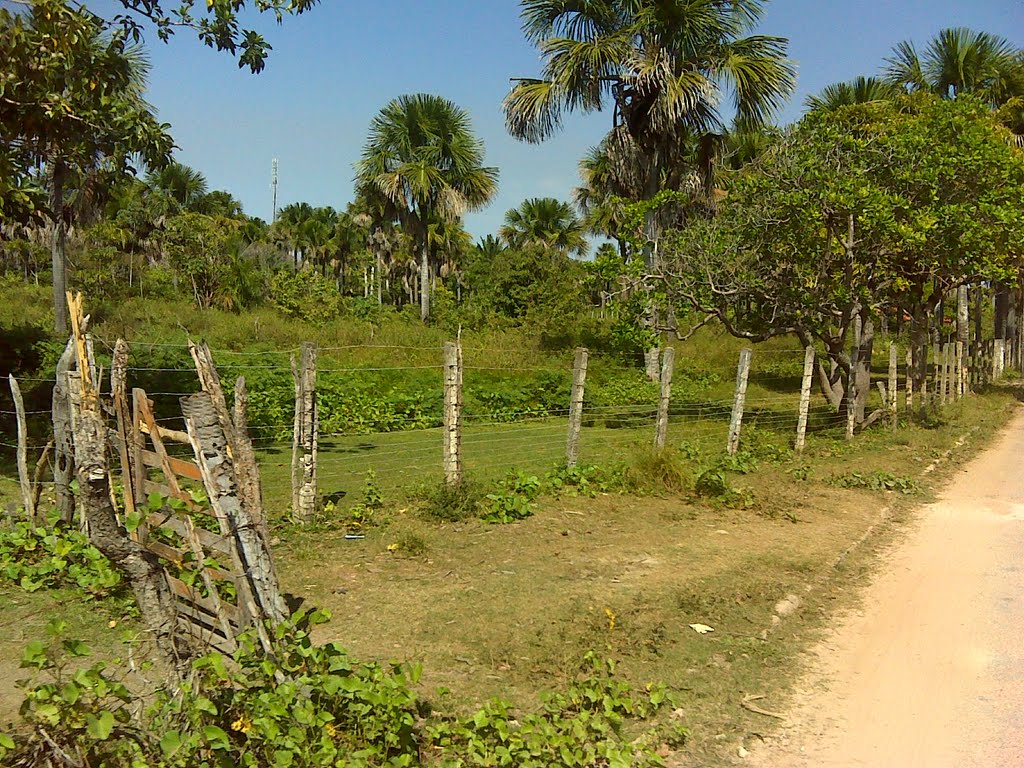 Barreirinhas12_ a caminho do povoado de São Domingos by IzeKampus