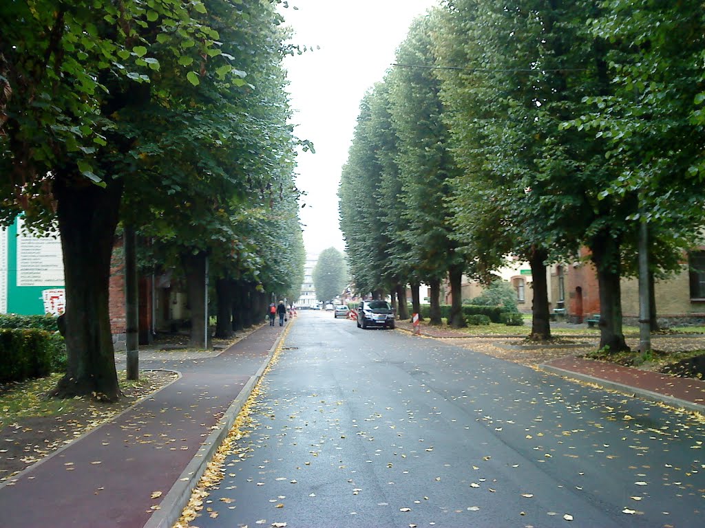 P. Stradiņa Klīniskā universitātes slimnīca by Manshtein