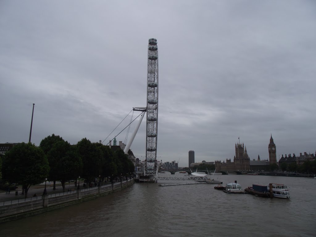 River thames,London eye by Mansour eftekhari