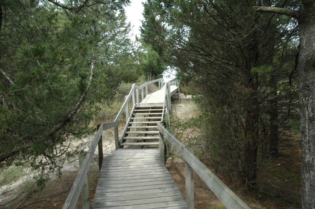 The Pinery, Dunes Crossing to Lake Huron by michiganbta