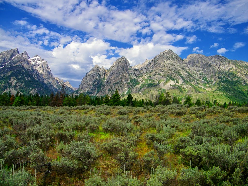 Grand Teton National Park by Will Noble