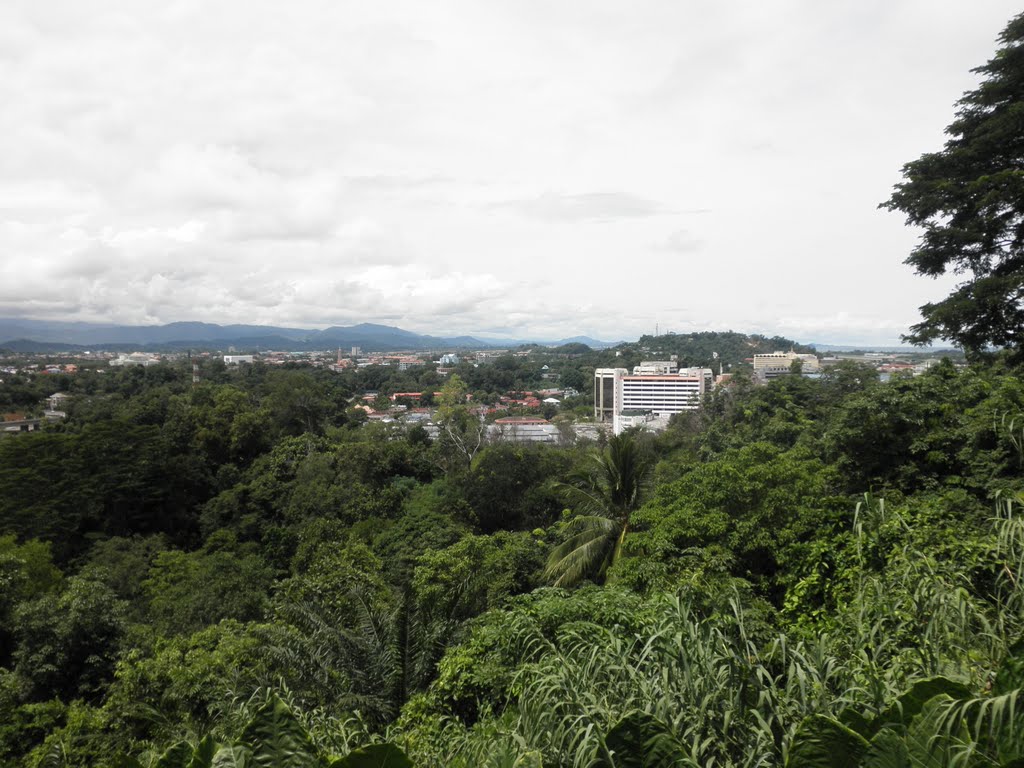 View From Signal Hill by kkboy