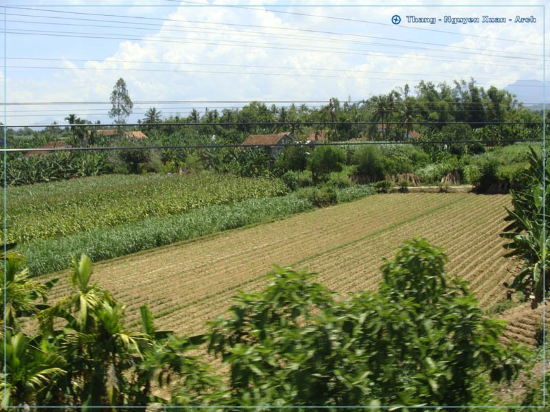 Đồng quê Bình trung - Bình Sơn by Vietnam - Spratlys