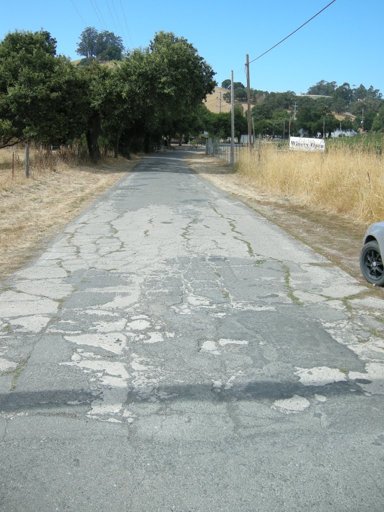 Old Redwood Hwy (1920's) Kastania Rd - Sep 2010 by MaxFarrar