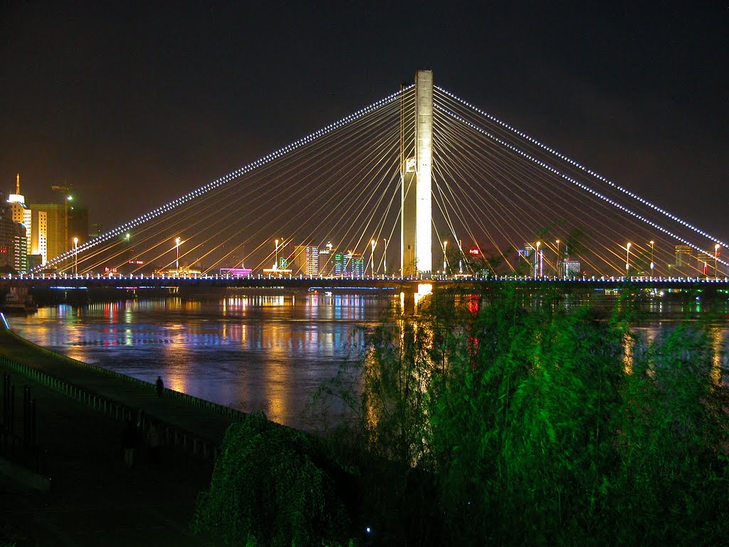 Linjiangmen bridge（临江门大桥） by T.w