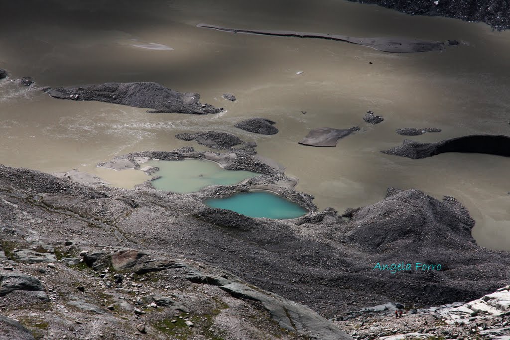 Gletscherlandschaft Phänomenal, Großglockner by Angela Forro