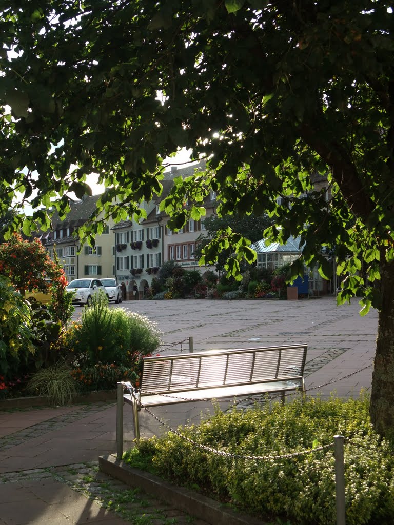 Freudenstadt, Oberer Marktplatz by Dieter Zinser (RDZfd…