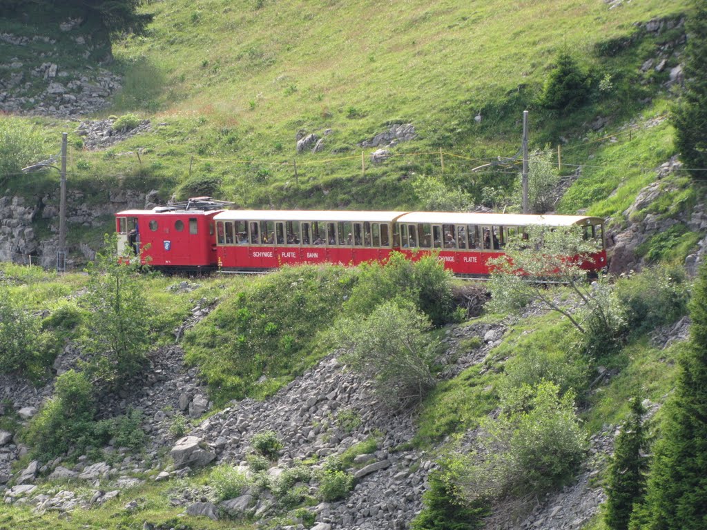 Svájc, Jungfrau Region, Schynige Platte Bahn, SzG3 by szalay3-II