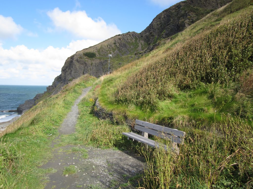 Aberystwyth, UK by 沈阳刘继鲁