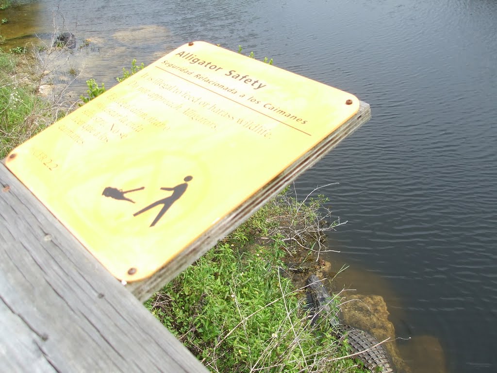 Tamiami Trail, Florida, Oasis Visitor Center, 15. Mai 2010 by Wolfgang Hanko