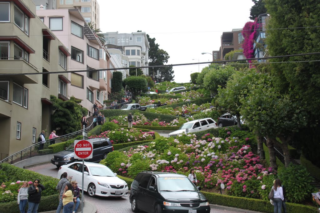 Lombard Street (San Francisco) by GIOVANNI TINELLI