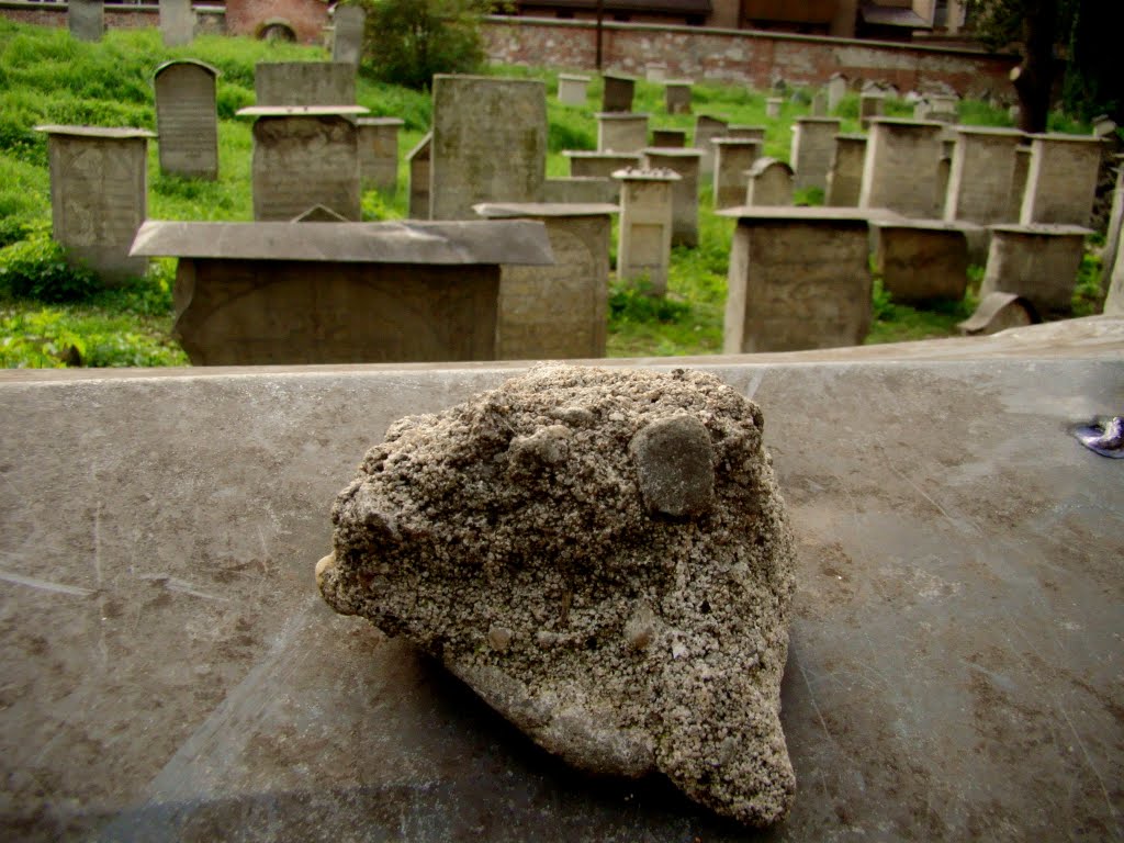 The old Jewish cemetery by basiach