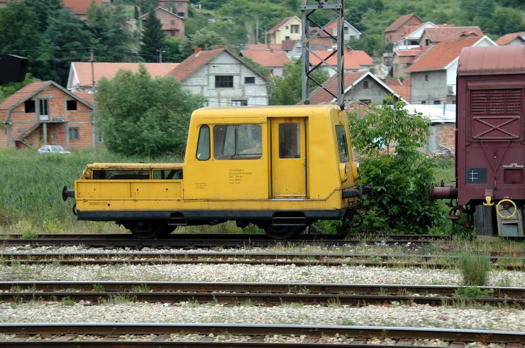 Mala mušica u Resniku by Teča sa Dunava