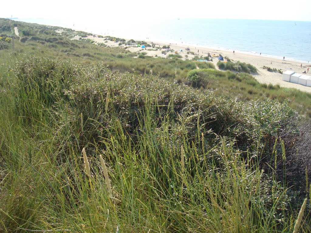 Duinen van De Haan by rafaelgistel