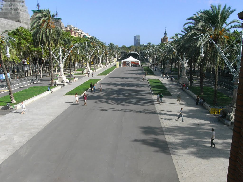 Barcelona, passeig de Lluís Companys des de dalt de l'Arc de Triomf by jordi domènech