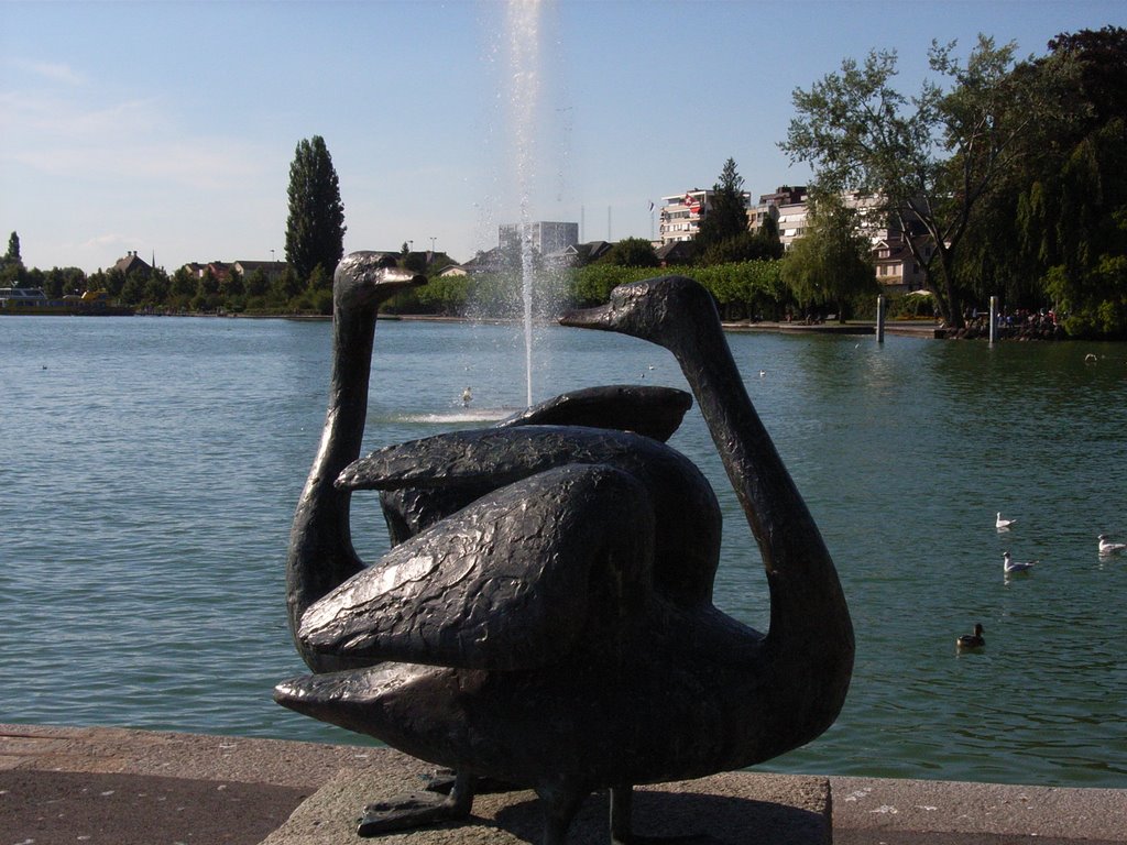 Schwäne am See by Hans Bielefeld