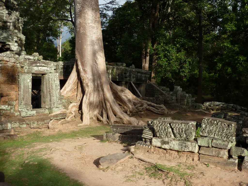 Ta Prohm, Angkor by Missak