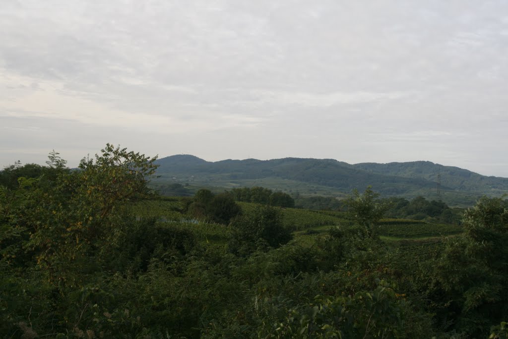 Blick von der Michaelskapelle Richtung Kenzingen by manderl