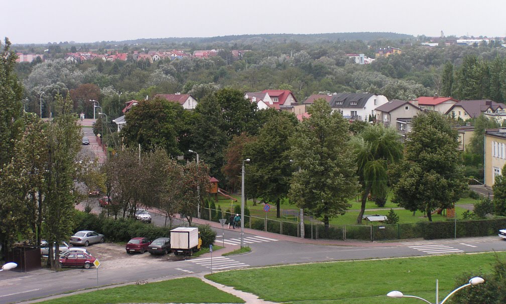 Plock, Dobrzynska District, 09.2010 by Mariusz Bladek