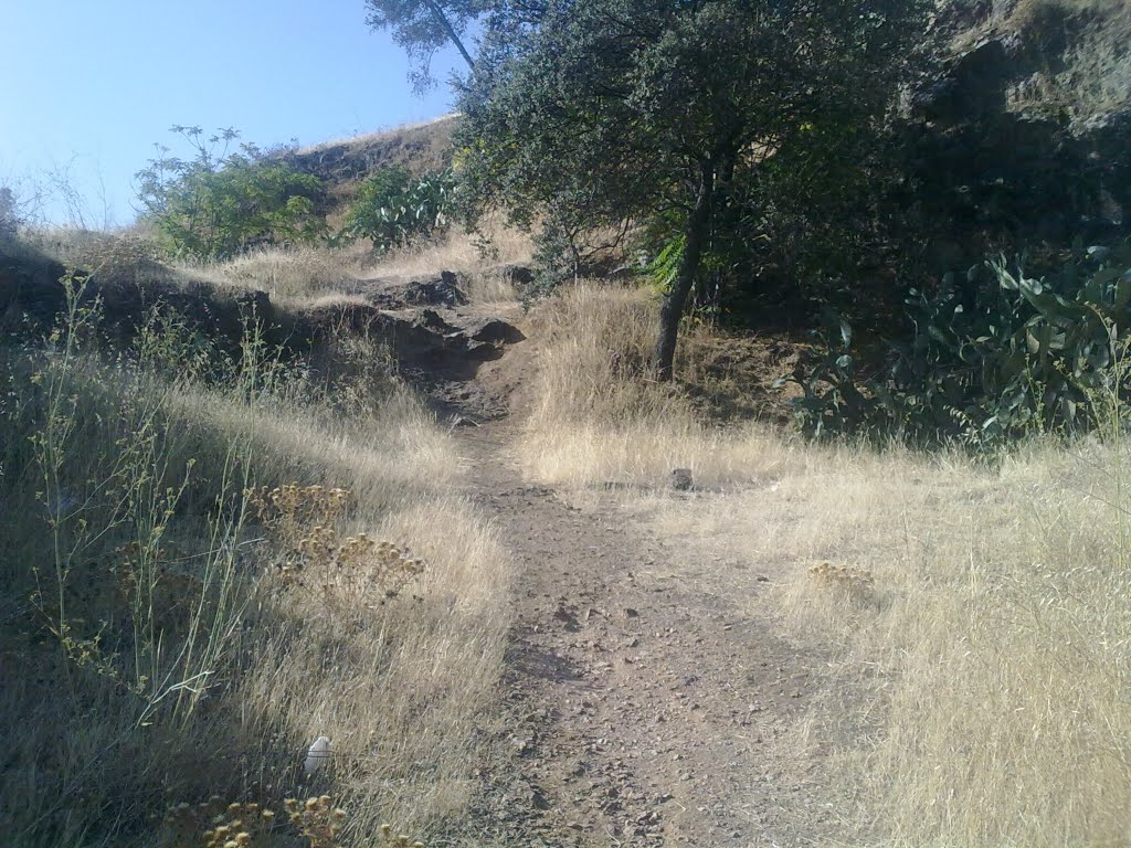 POR CARRETERA CIRCUNVALACIÓN Y LA ALCAZABA by manuquads