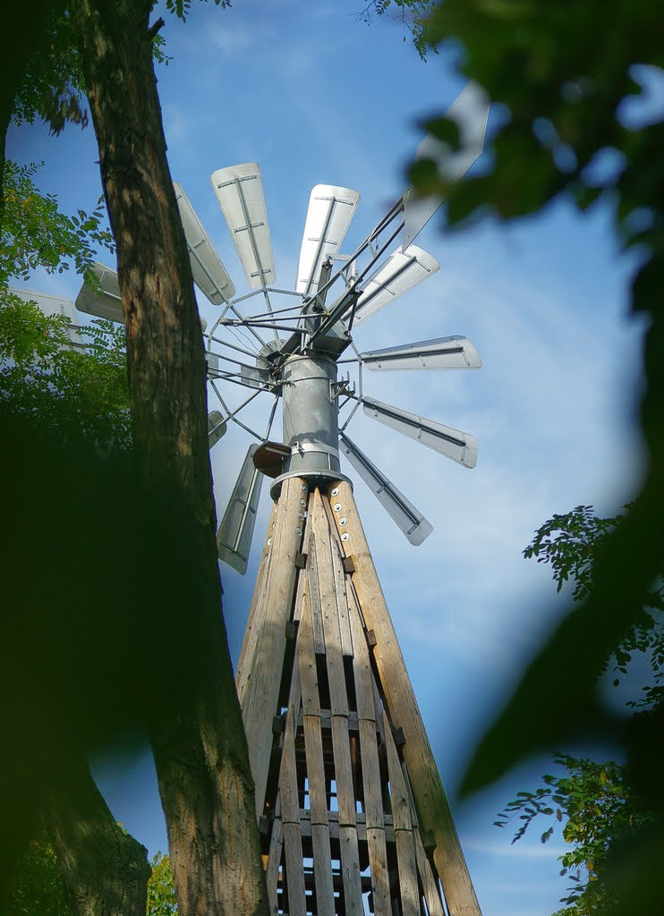 Warum die Windmühlenstraße Windmühlenstraße heißt... by © DerSIGGY