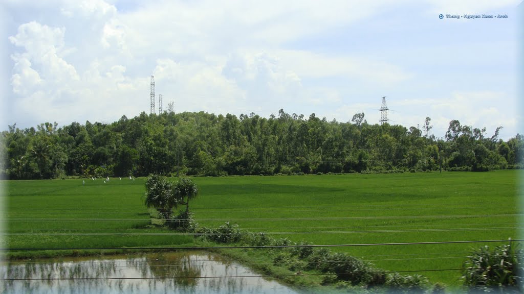 Múi - Miêu - Mount by Vietnam My Country