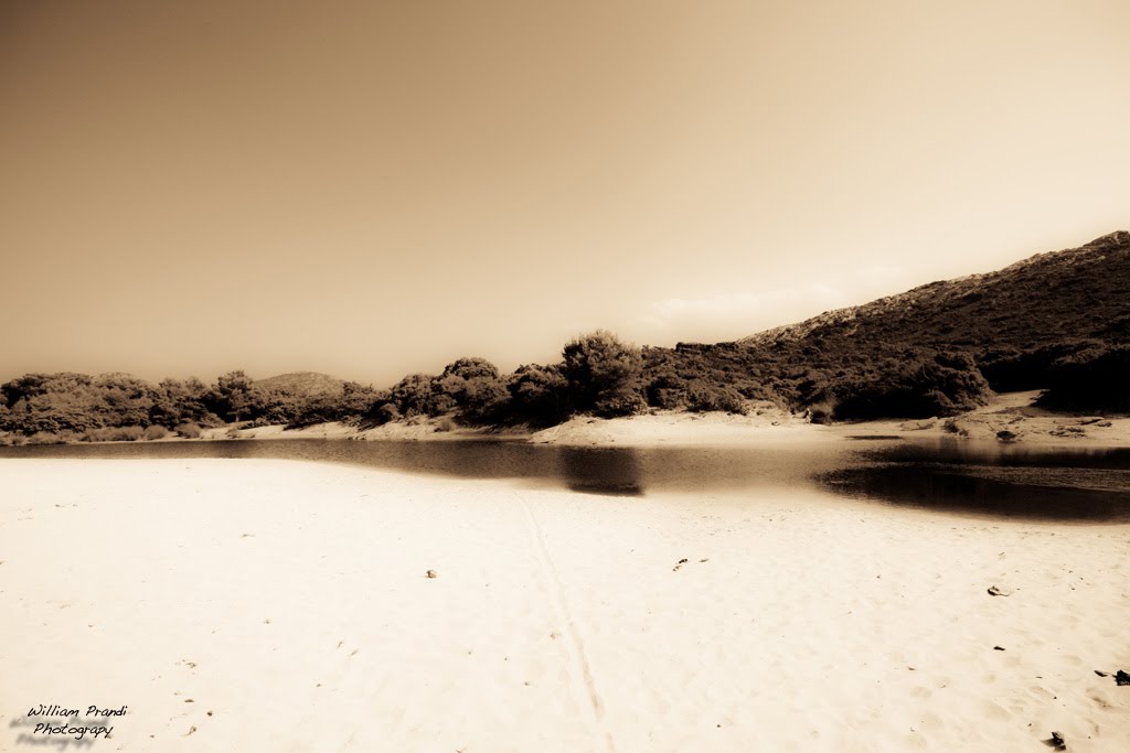 Plage de Saleccia, Désert des Agriate, Corsica (FR) by William Prandi