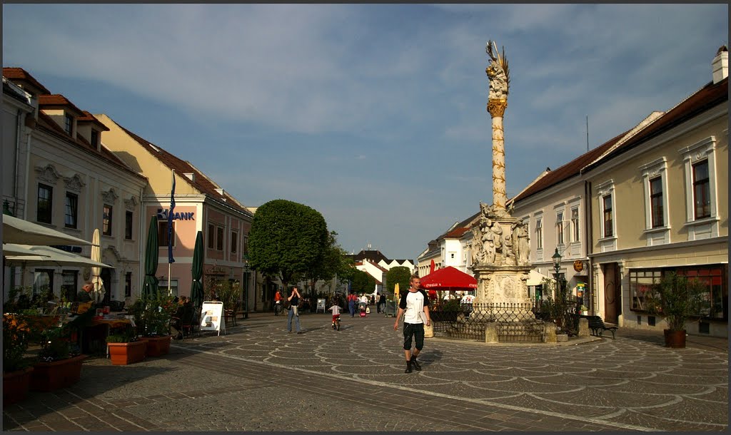 Szentháromság-szobor. by János Nagy