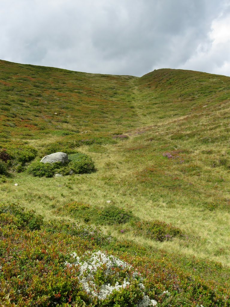 Gemeinde Kleblach-Lind, 9753, Austria by Karin.E.D