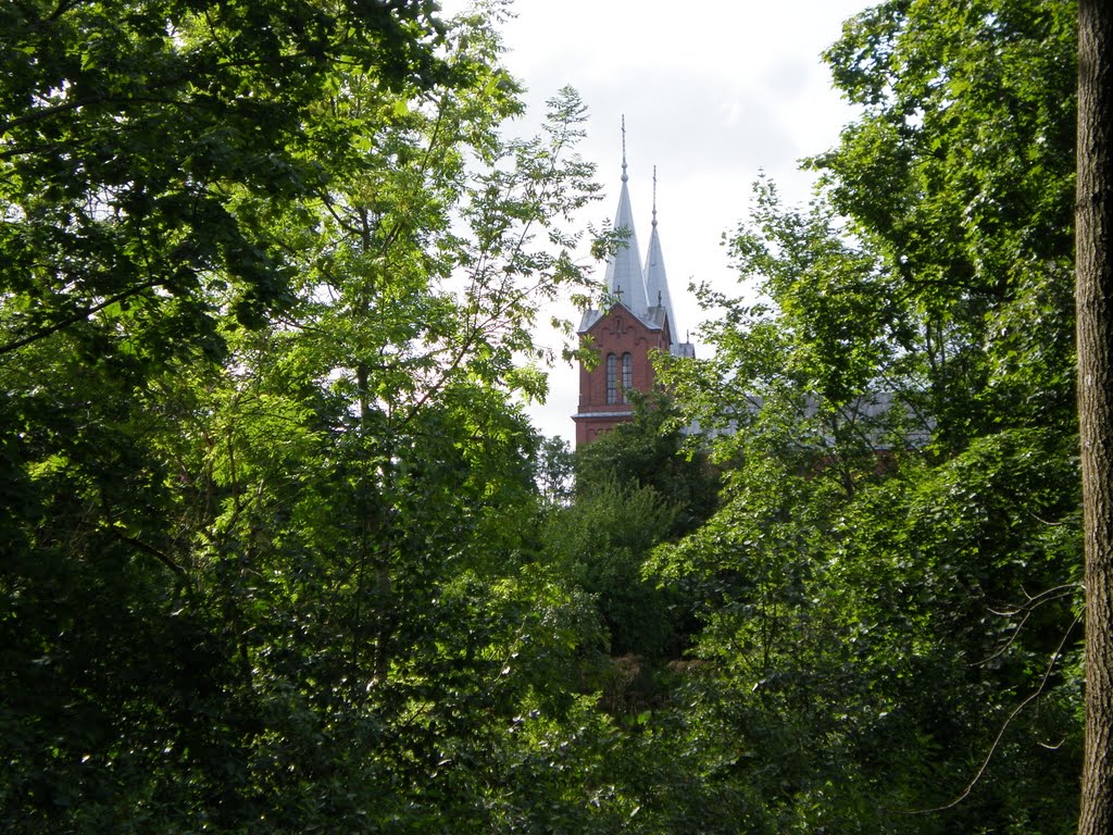 Plungės bažnyčios bokštai. Žvilgsnis iš parko. by Gintarėlė Jurkevičie…