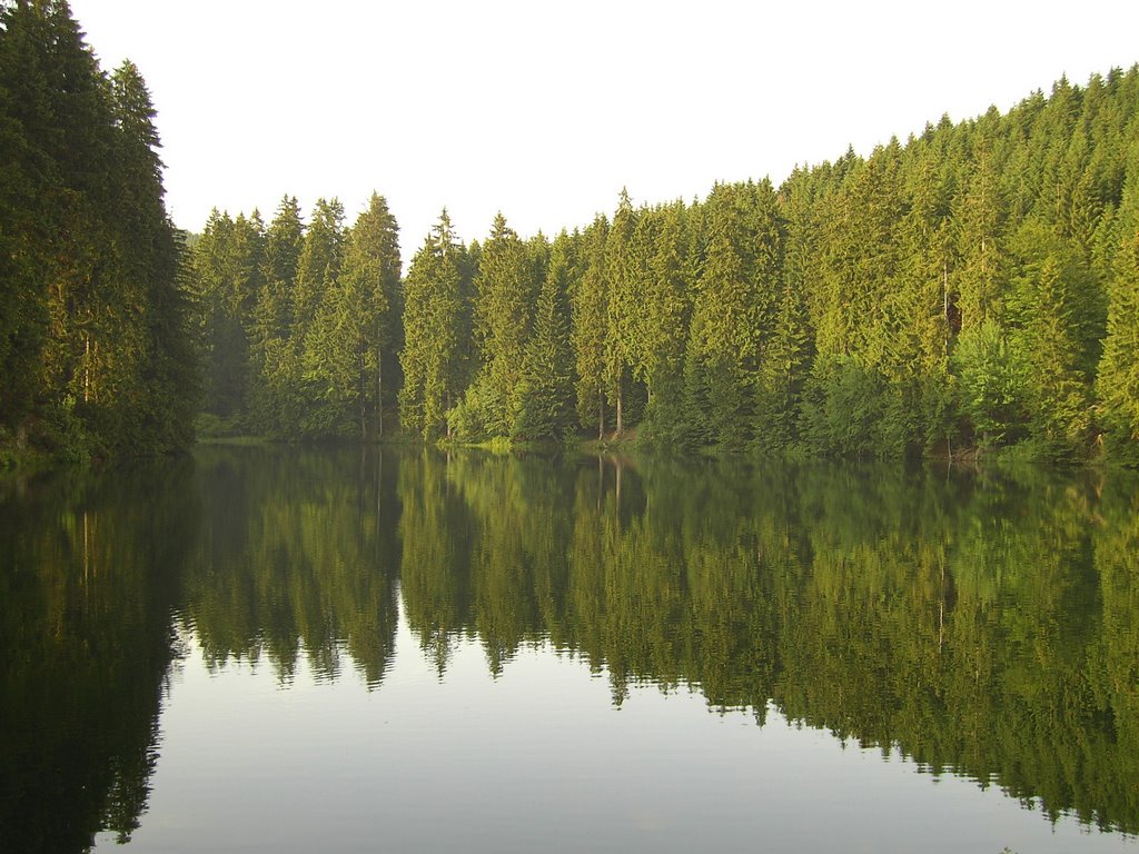 Schalker Teich bei Schulenberg by karei