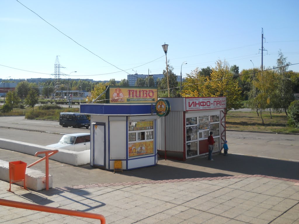 Zavolzhskiy rayon, Ulyanovsk, Ulyanovskaya oblast', Russia by Виктор Усинский