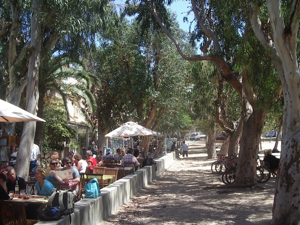 Porquerolles, îles d'Hyères by KANTIN