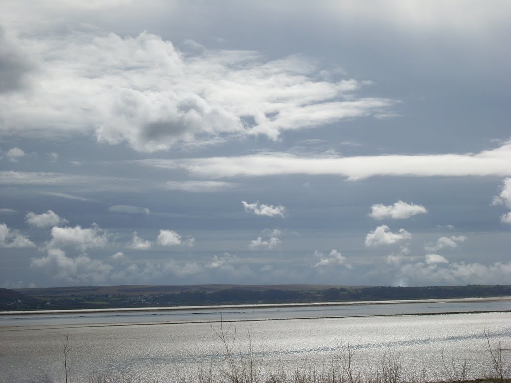 Llanelli, UK by dragon fly