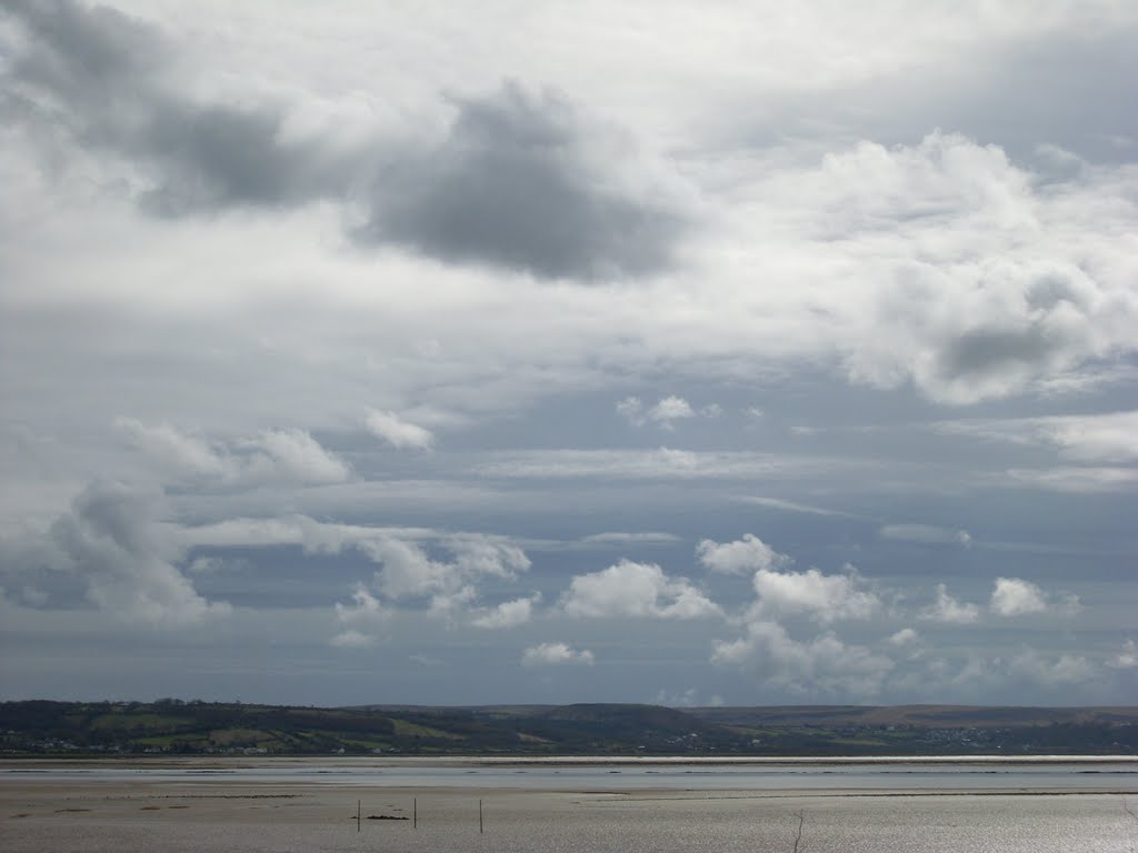 Llanelli, UK by dragon fly