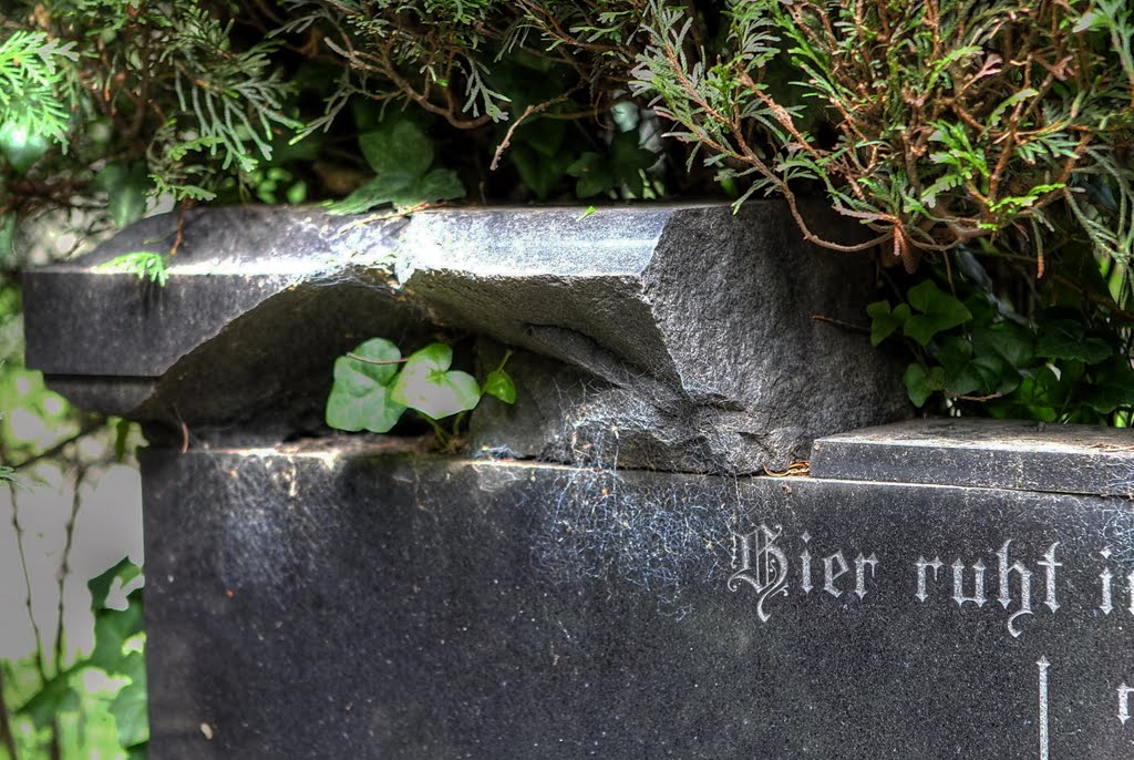 Spuren des Krieges, traces of the war by pillboxs