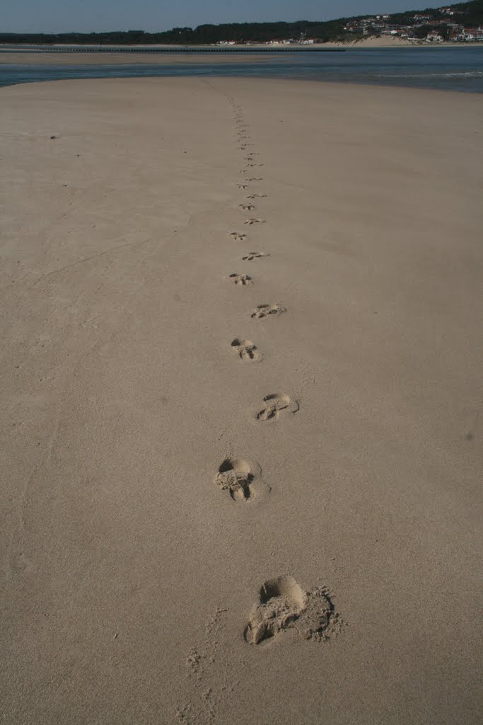 "O caminho faz-se caminhando" by josecouto