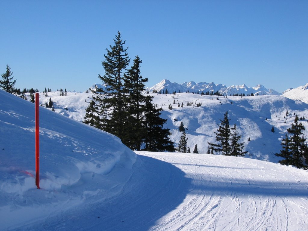 Alpbach by A Goodfellow