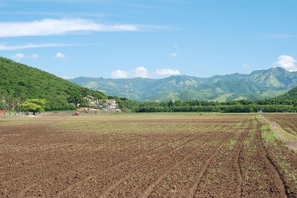 Farm Ready to seed by alvingone