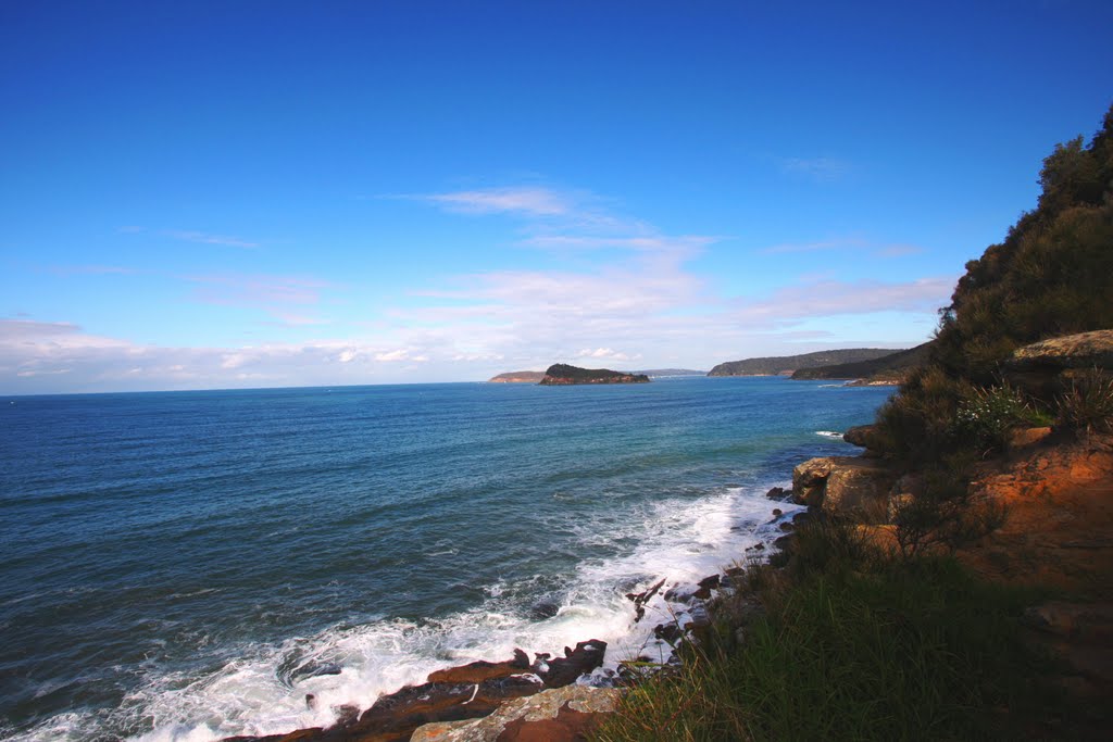 Lion Island Central Coast NSW by Warren Carlson