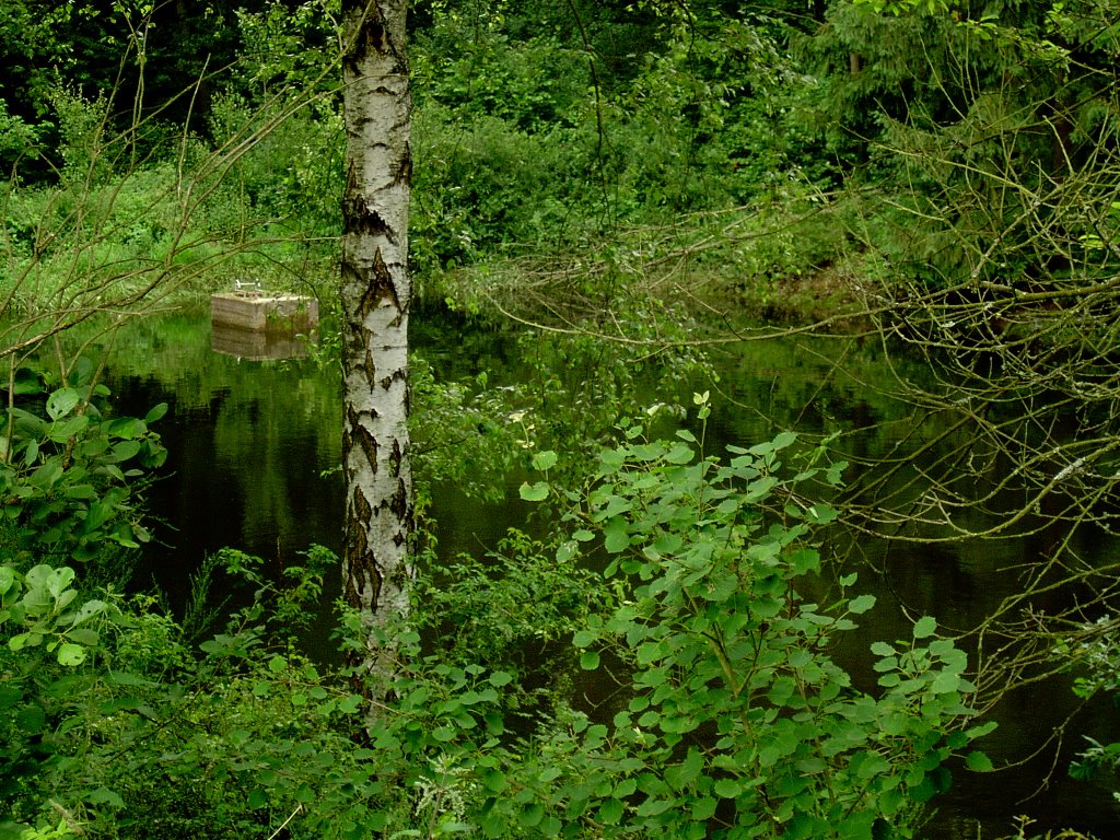 Cratzenbach - der untere Weiher by Karl Eggenmüller-Panoramio, the only way for 