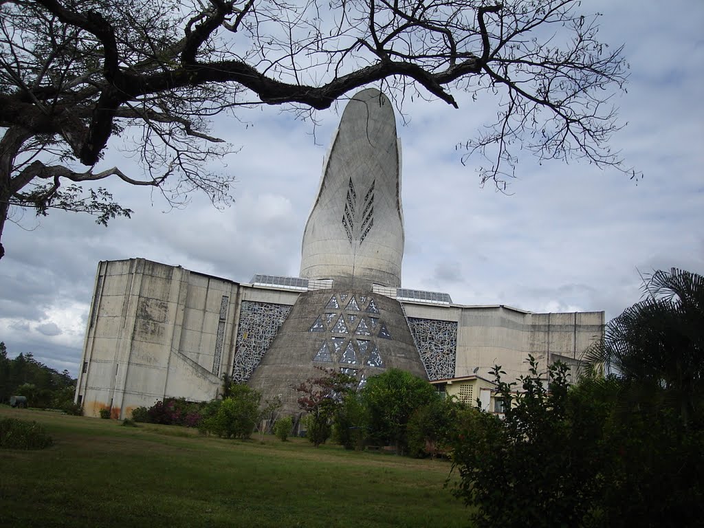 Sangenarodeboconoito, Portuguesa, Venezuela by Alfredo Guánchez V