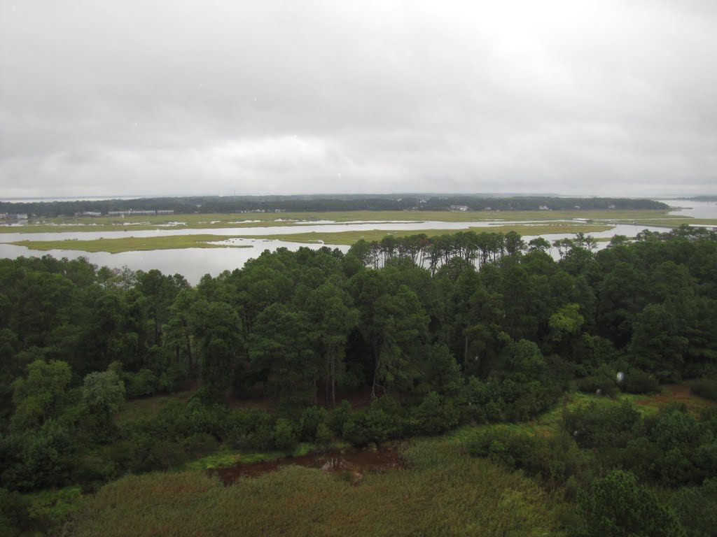 Assateague Lighthouse view Northward by Chris Sanfino