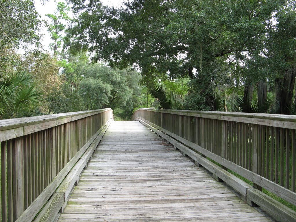 Flagler Trail bridge by bobzor