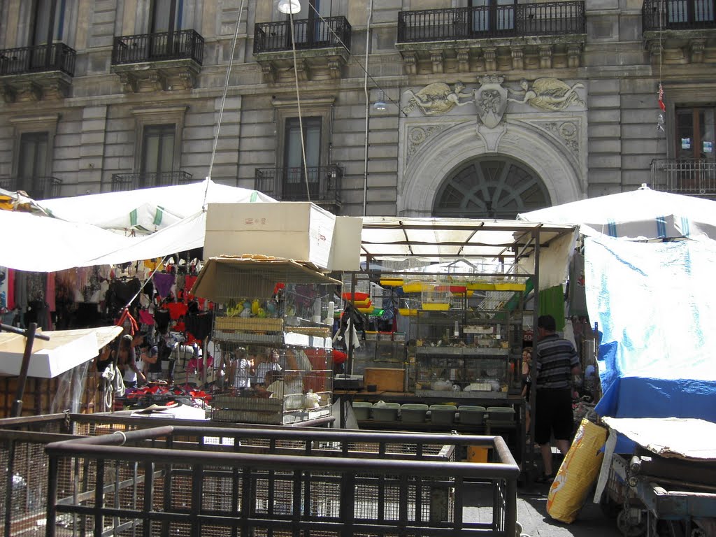 Via San Gaetano alla Grotta - Catania by kajikawa