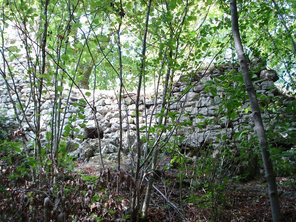 Reste der Ruine Monsberg by Walter Biselli