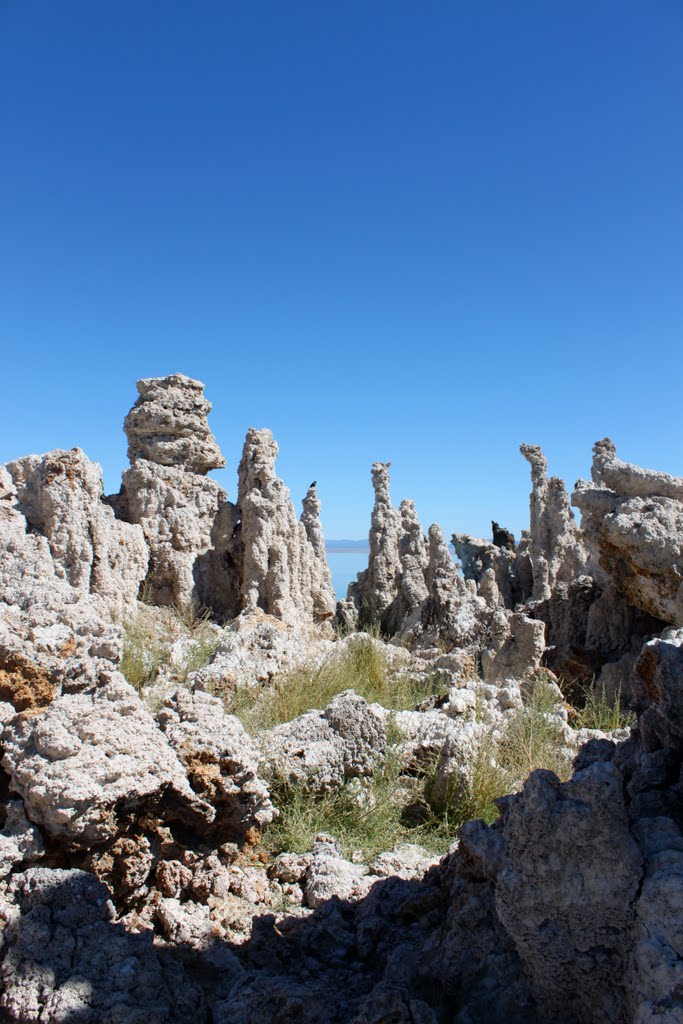 Mono Lake Tufa Garden by Ryan Hills Photograp…